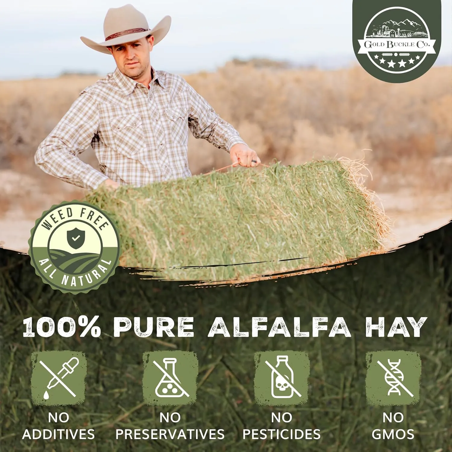 10lb Freshly Dried Organic Alfalfa Hay for Guinea Pigs, Rabbits, Chinchillas, Goats, Hamsters & Ferrets, Small Animal Food Rich in Protein & Fiber, Hand-Selected, Hand sorted, USA Grown