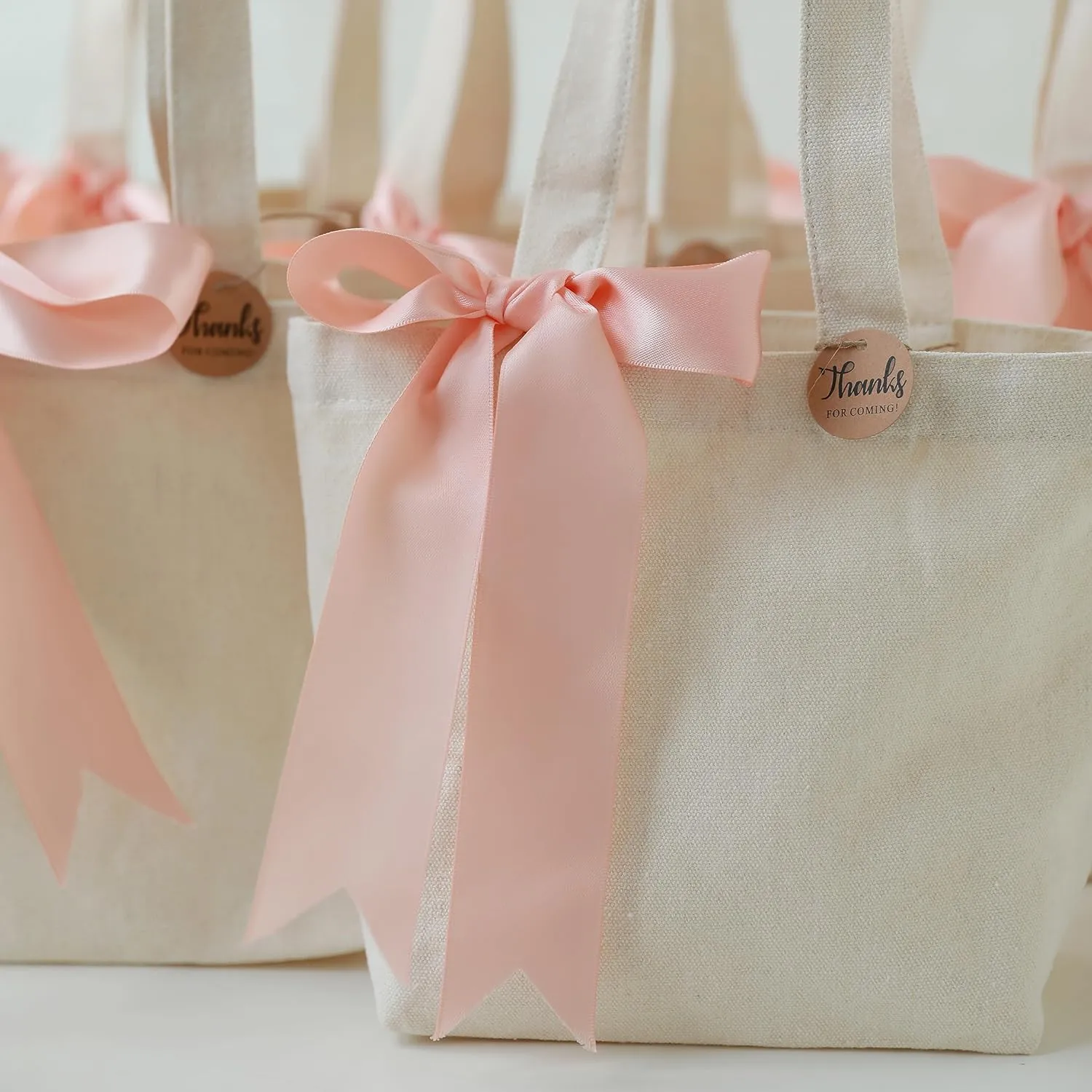 10" x 8" x 3"Mini Canvas Tote Bags for Fabric Painting Cotton Sturdy Bag Heavy-duty Gift Bags