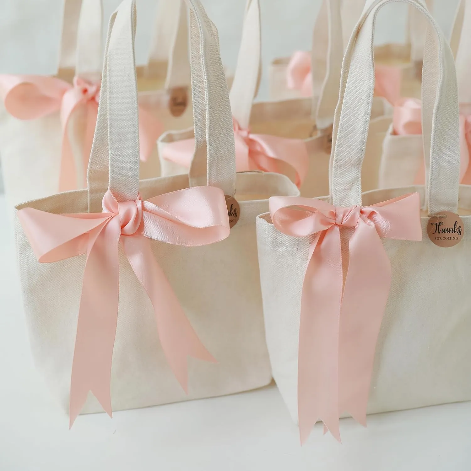 10" x 8" x 3"Mini Canvas Tote Bags for Fabric Painting Cotton Sturdy Bag Heavy-duty Gift Bags