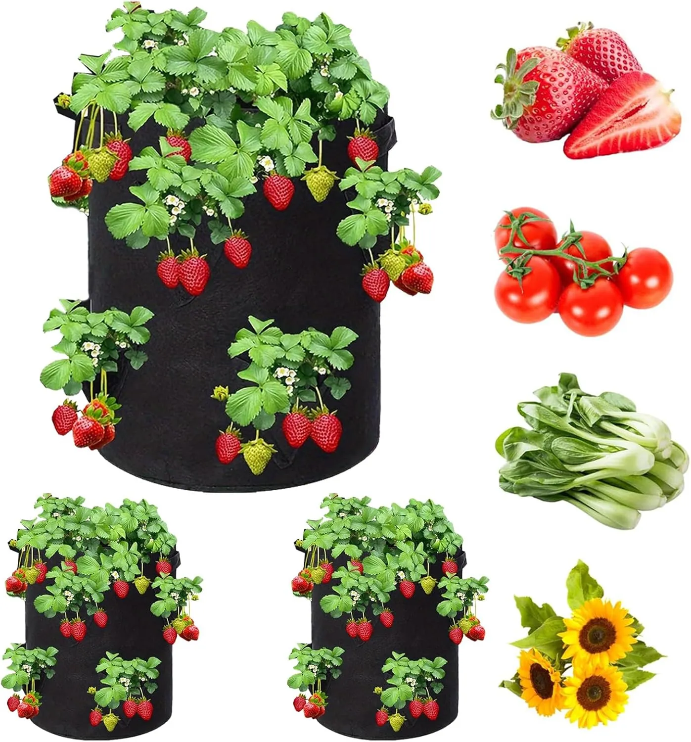 8 Hole 10 Gallon Strawberry Grow Bags, 3 Pcs Non-Woven Garden Pots, Plant Vegetable and Flower with Sturdy Handle