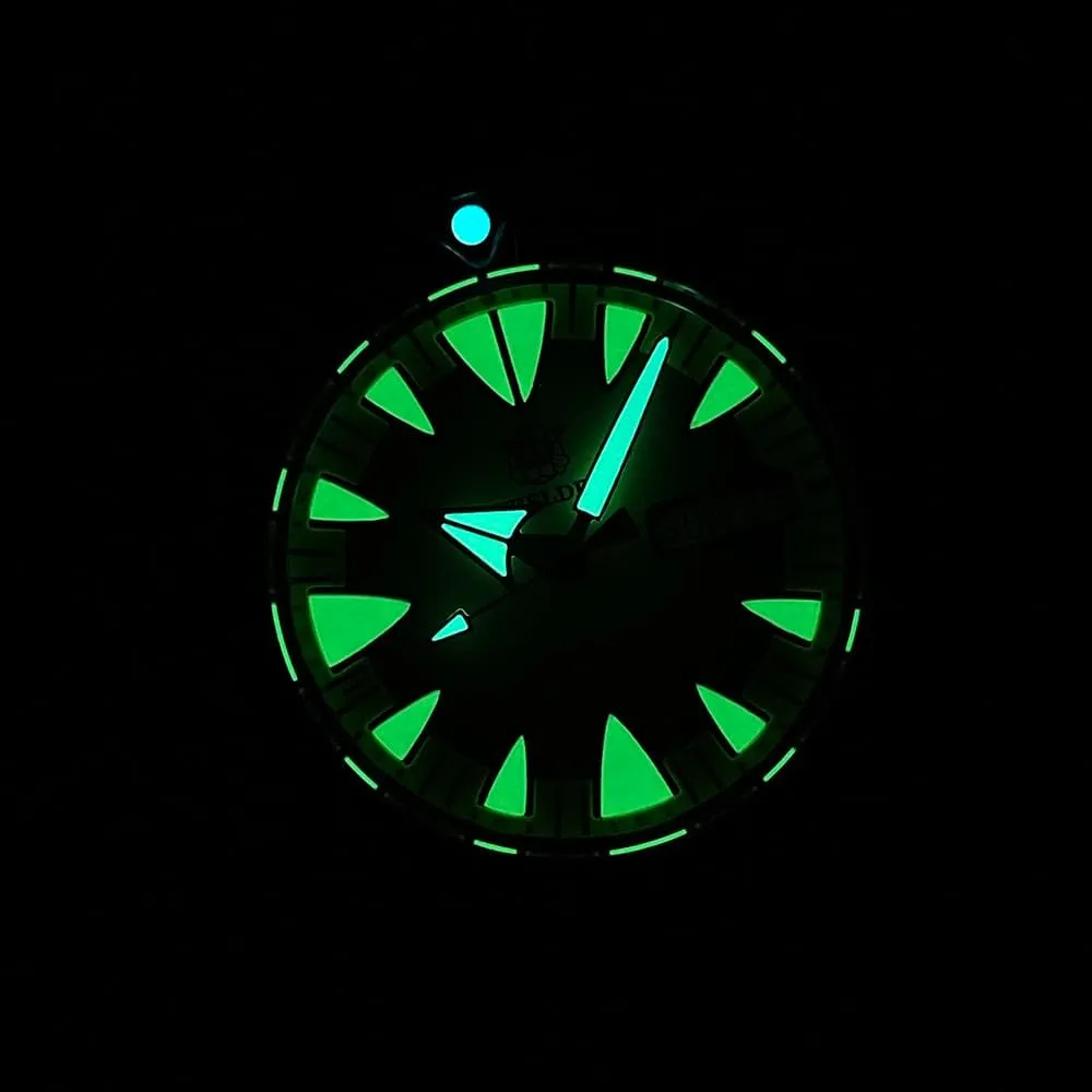 ACHARD AMOY Mens Automatic Watches 42.2mm Military Mechanical Wristwatch Diver 30ATM C3 Luminous Sapphire Mirror Steel Bezel NH36 Week Date