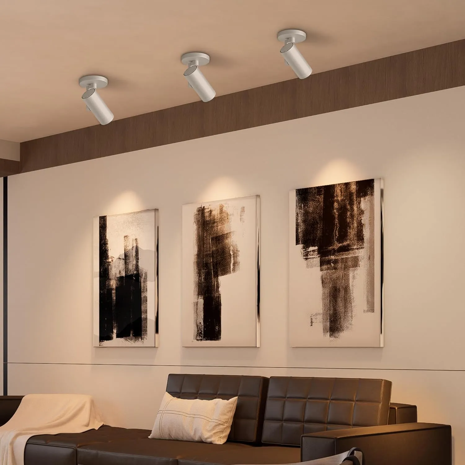 Aisilan Adjustable Dimmable Beam Angle 10-55° Zoomable Spotlight Indoor, 12W Black LED CRI 97 Ceiling Spotlight Fixture, 2 Pack 3000K Modern Wired Accent Lighting for Artwork, Living Room, Mural
