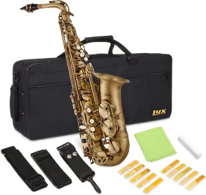 Alto Saxophone E Flat Brass Sax Kit, Professional Sound, Complete Accessories, Ideal for All Players, Includes Hard Case, 10 Extra Reeds, Strap, Gloves, Cleaning Kit & More, Antique Bronze