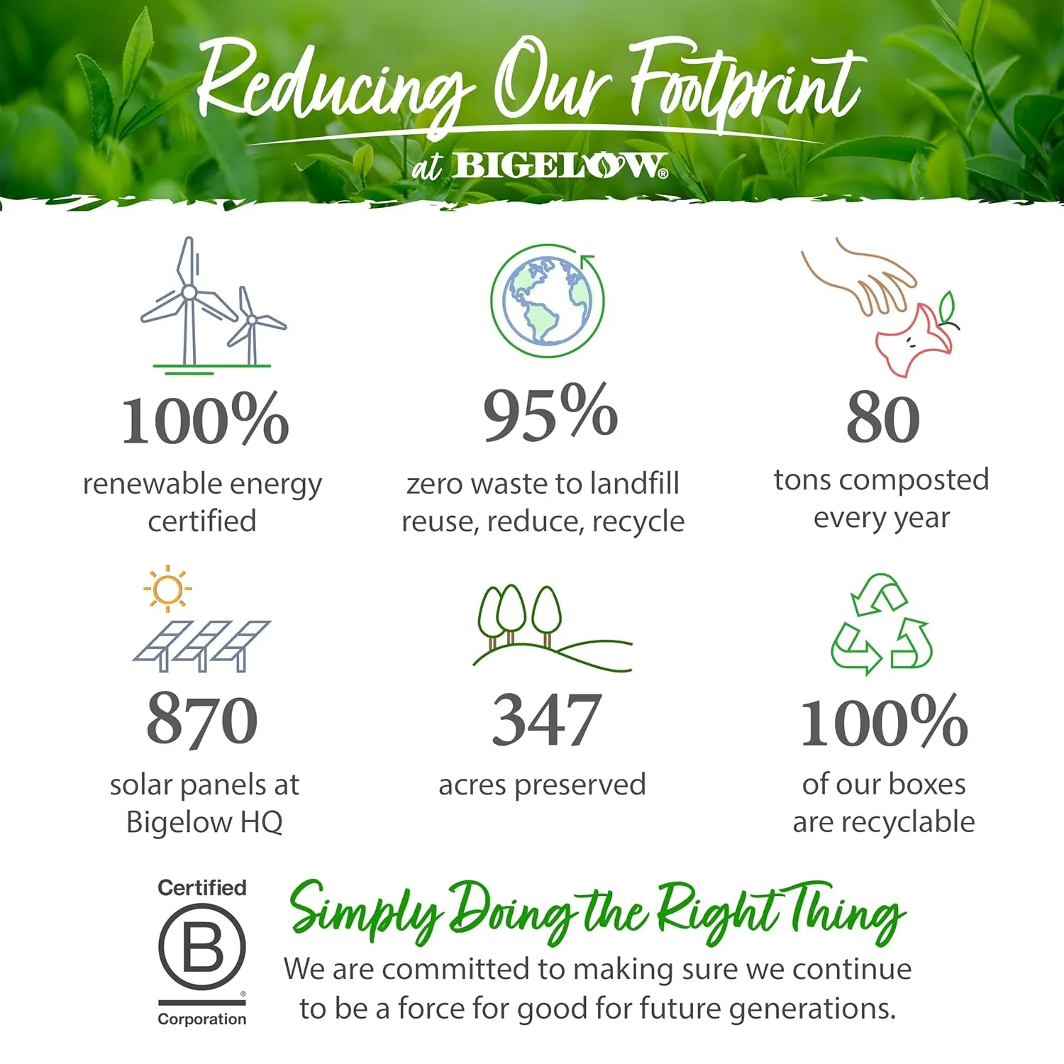 Bigelow Tea Benefits Wellness Teabag Variety Pack, Mixed Caffeinated Green Matcha & Caffeine-Free Herbal Tea, 18 Count Box (Pack of 6) 108 Tea Bags Total