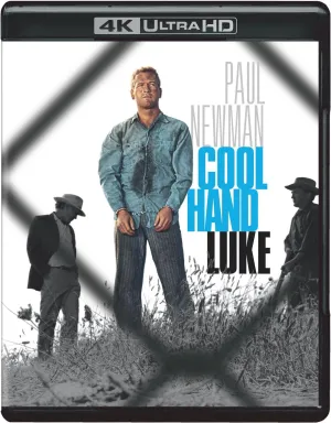 Cool Hand Luke (4K Ultra HD   Blu-ray) [4K UHD]