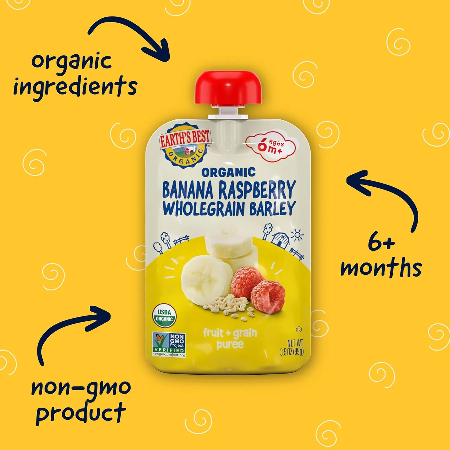 Earth's Best Organic Baby Food Pouches, Fruit and Grain Puree for Babies 6 Months and Older, Organic Banana Raspberry and Whole Grain Barley Puree, 3.5 oz Pouch (Pack of 12) (Packaging May Vary)