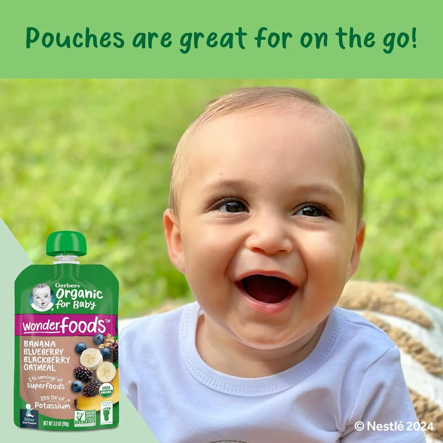 Gerber Organic Baby Food Pouches, 2nd Foods for Sitter, WonderFoods, Banana Blueberry Blackberry Oatmeal, 3.5 Ounce (Pack of 12)