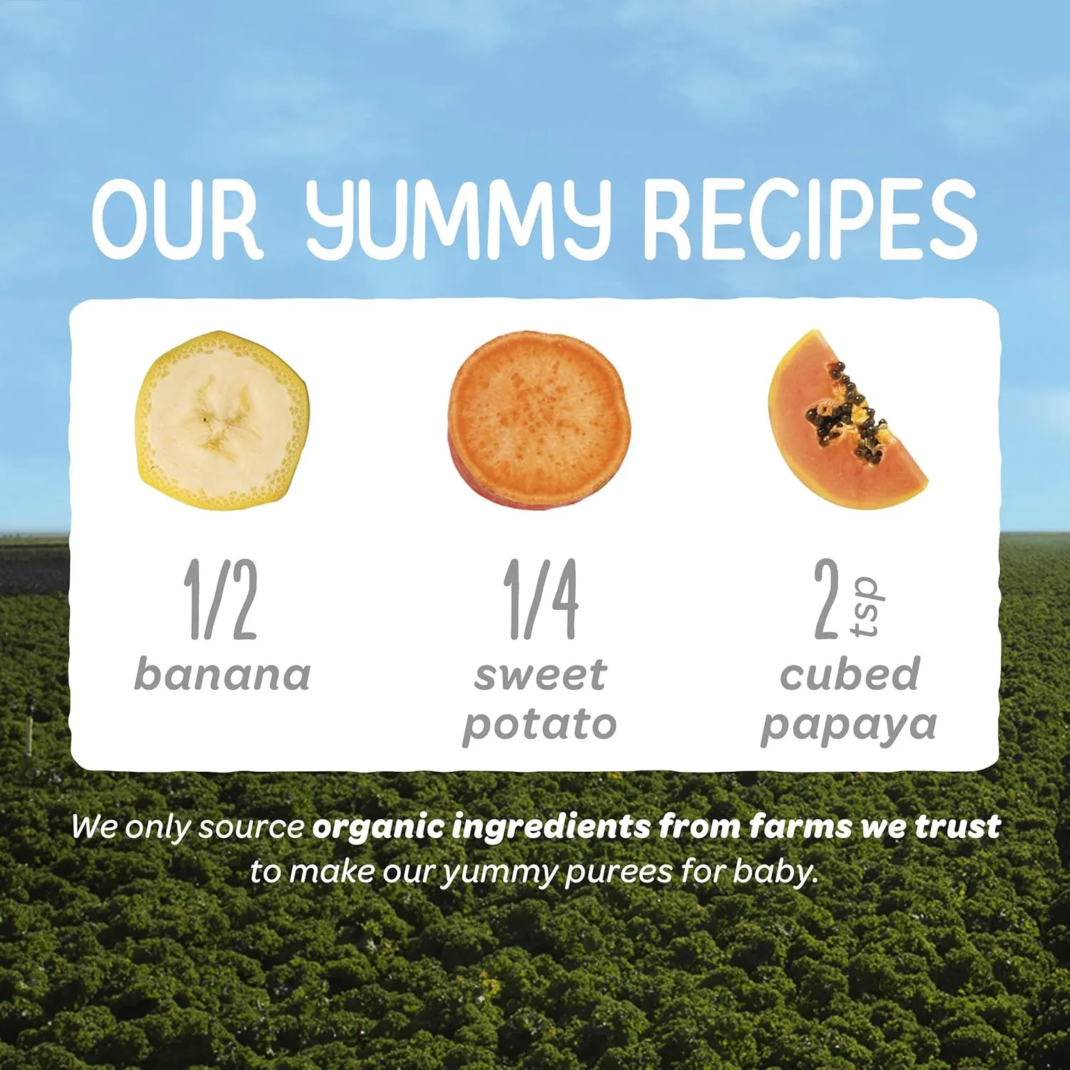 Happy Family Happy Baby Organic Clearly Crafted Stage 2 Baby Food Bananas, Sweet Potatoes & Papayas, 4 Pouch (Pack of 16), Banana Sweet Potato Yellow Papaya, 64 Oz