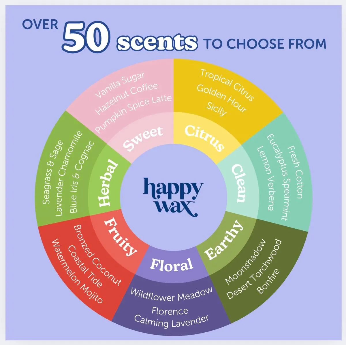Happy Wax Fan Favorites Collection Scented Natural Soy Wax Melts – 6 Total Oz. of Scented Wax Melts, Collection Includes Lemon Verbena, Coastal Tide and Eucalyptus Spearmint