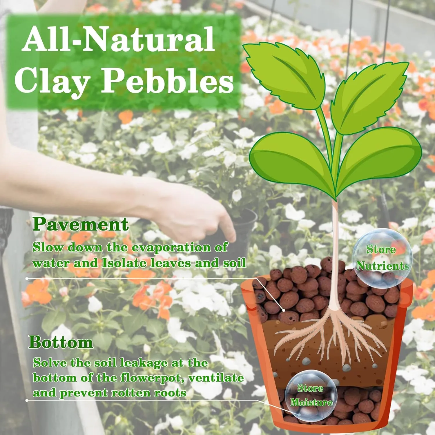 Legigo 4 LBS Organic Expanded Clay Pebbles, 4mm-16mm Light Clay Leca Balls for Plants, Natural Hydroton Clay Pebbles for Hydroponic & Aquaponics Growing, Orchid Potting Mix, Dutch Buckets, Drainage