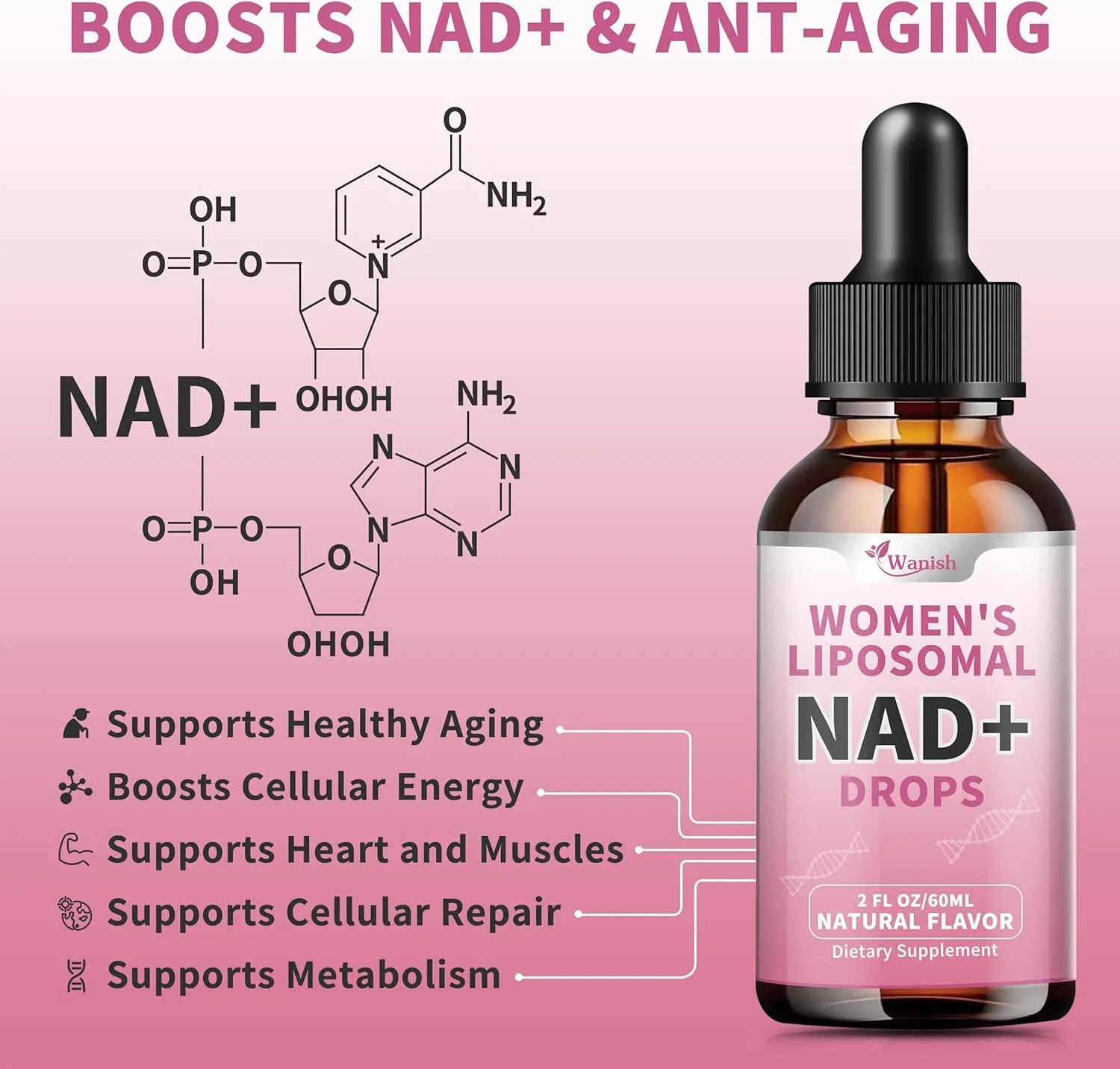 Liposomal NAD Supplements for Women, Pure 500mg NAD Nicotinamide - Cell Regeneration，Energy & Metabolism Support, Vegan,Sugar Free，Additives Free，2 Fl Oz