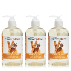 Moisturizing Liquid Hand Soap – Citrus & Spice – Plant-Based   Aloe Vera – Scented w/ Essential Oils – Natural Hand Wash Kitchen   Bathroom – 12 Fl Oz Pump Bottles (Pack of 3)