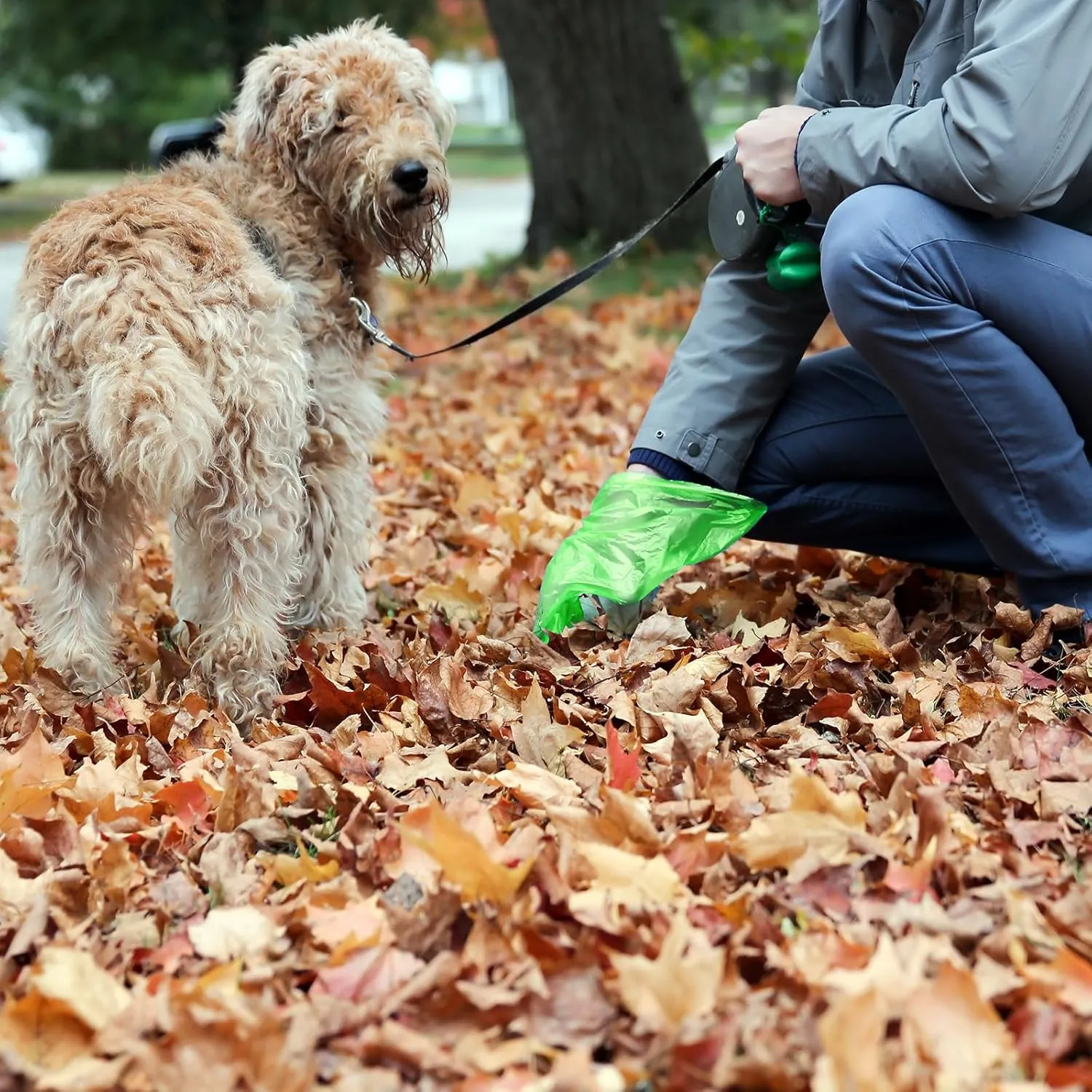 Natural Degradation Dog Poop Bags with Dispenser Holder, Ledorr Leak-Proof Tear-Resistant Fragrant Pet Doggie Puppy Cat Waste Bags for Outdoor Walking Travel Refuse Cleanup, 240 Bags