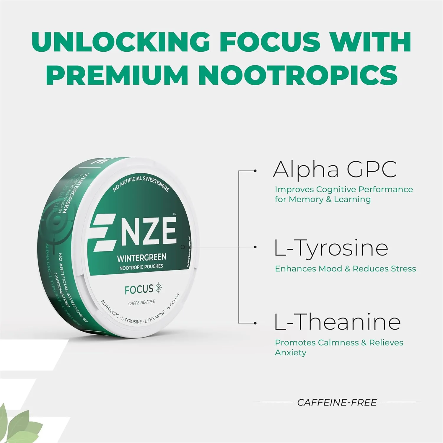 NZE Caffeine Free Nootropic Pouches (Wintergreen) - Nootropic Pouches with Alpha GPC, L-Tyrosine & L-Theanine - No Sugar or Artificial Sweeteners - 15 Nicotine Free Pouches Per Can - 5 Pack