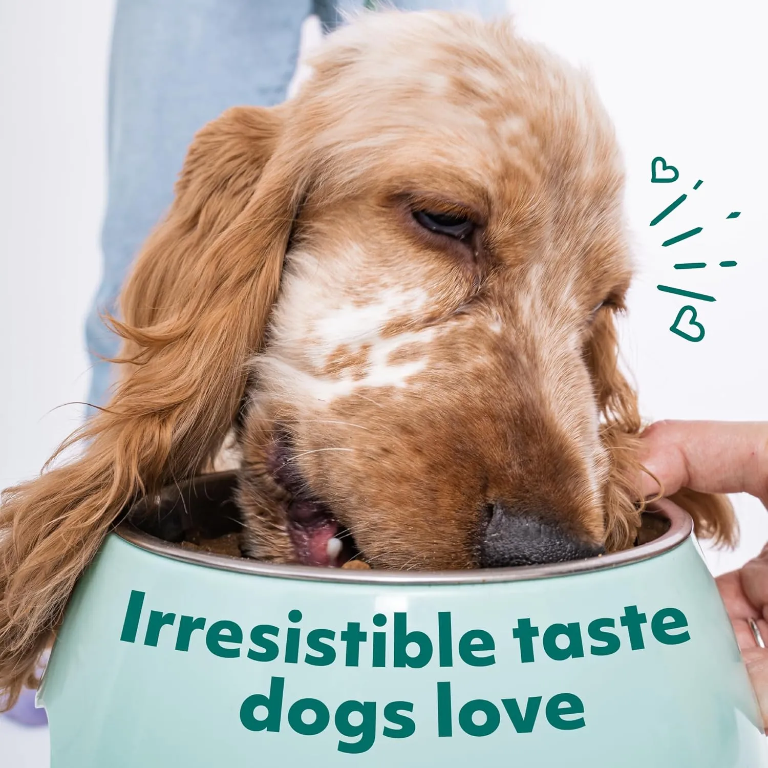 Optimeal Wet Dog Food Pouches - Variety Pack Grain Free Recipes, High Protein, Tender Morsels in Aspic Made with Natural Ingredients for Adult Dogs, Premium Nutrition - 3 oz, Pack of 12