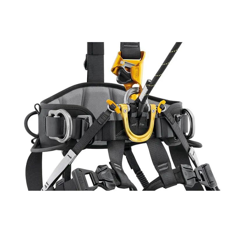 Petzl ASTRO International Harness C083BB0_