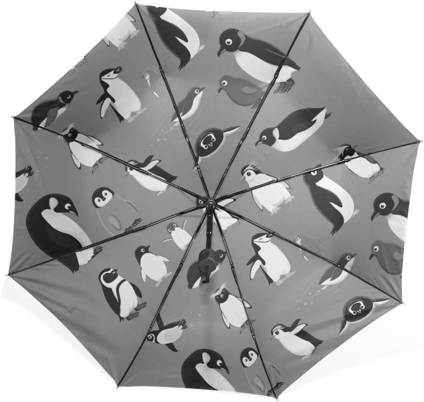 Poeticcity Rain Travel Umbrella, Hand Open Close Windproof Waterproof Folding Umbrella, Compact Canopy Strong Ray Parasol Umbrella