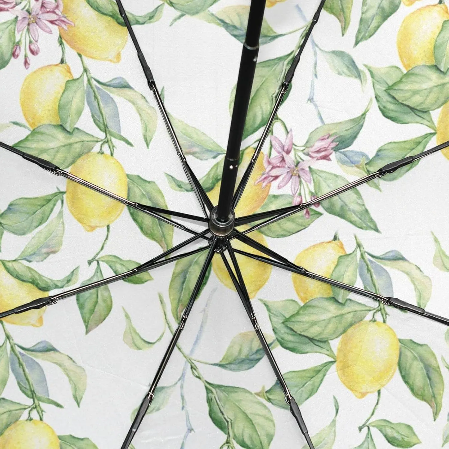Poeticcity Rain Travel Umbrella, Hand Open Close Windproof Waterproof Folding Umbrella, Compact Canopy Strong Ray Parasol Umbrella