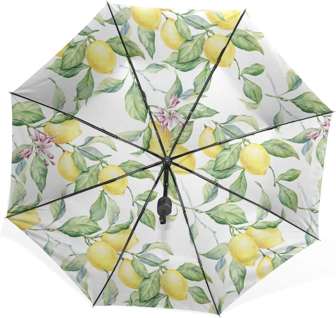 Poeticcity Rain Travel Umbrella, Hand Open Close Windproof Waterproof Folding Umbrella, Compact Canopy Strong Ray Parasol Umbrella