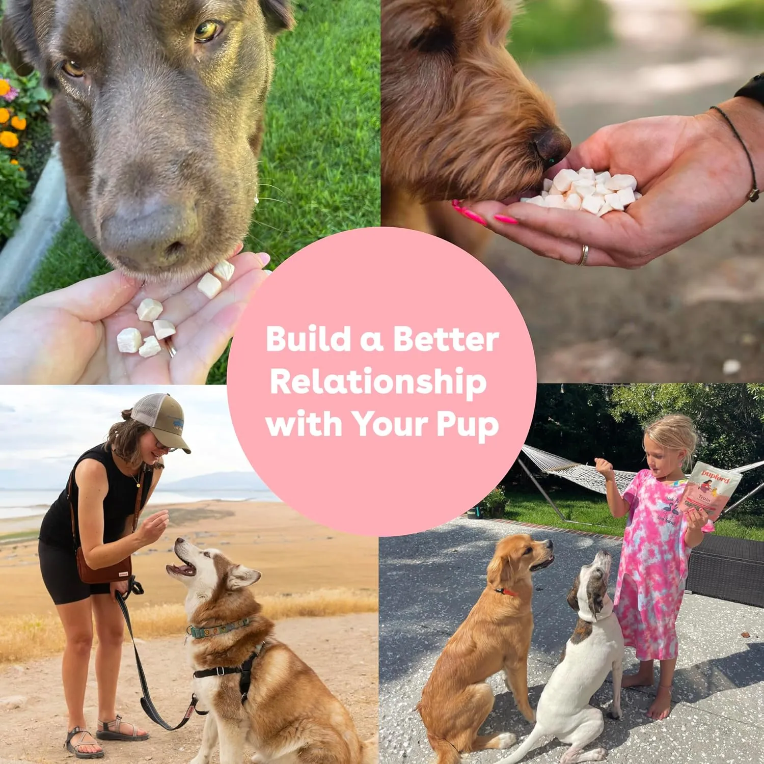Pupford Freeze Dried Training Treats for Dogs & Puppies, 450  One Ingredient Bites (Sweet Potato, 4 oz)