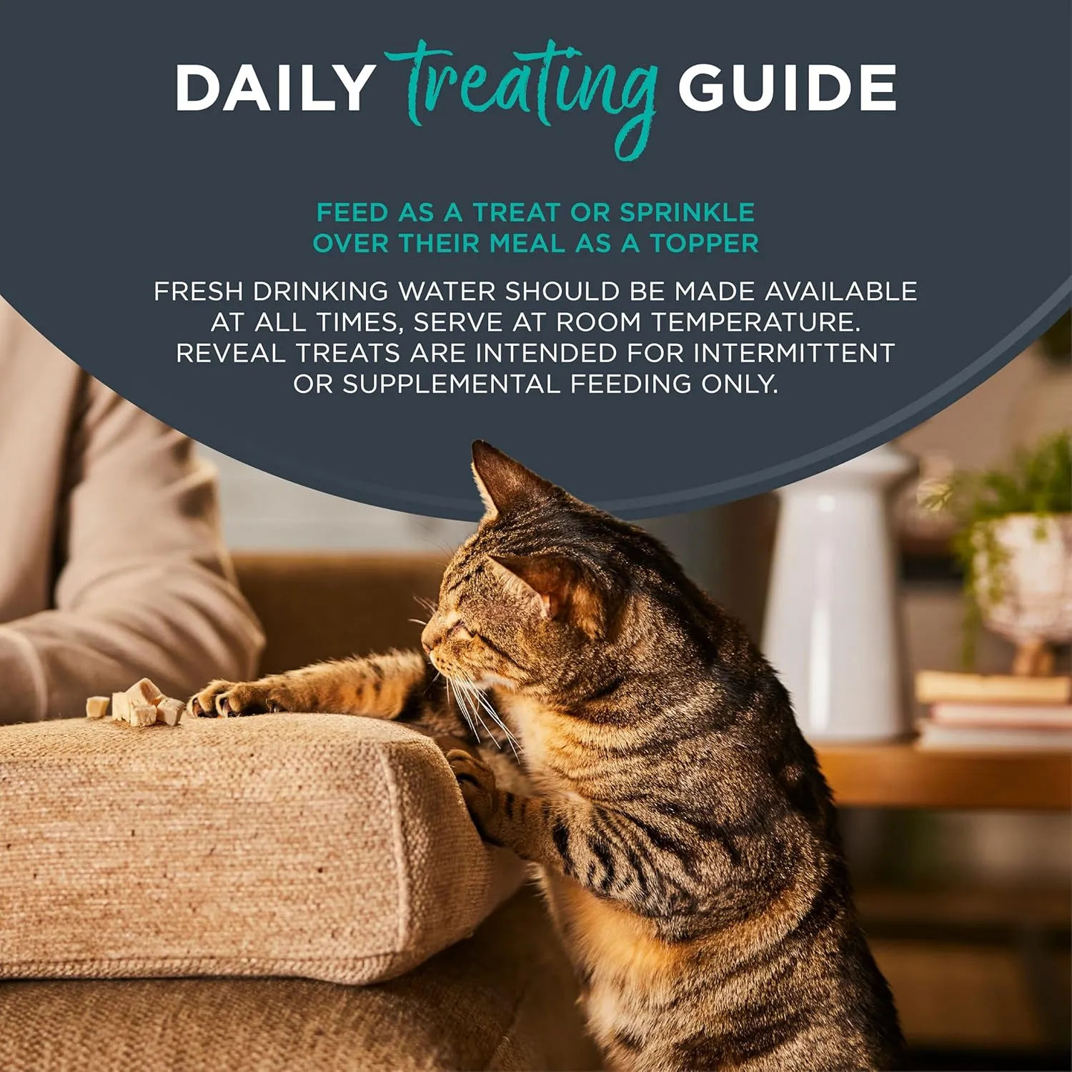 Reveal Natural Cat Treats, 12 Count, Single Ingredient Treat for Cats, Frain Free, Whole Mackerel Loin, 1.06 oz Bags