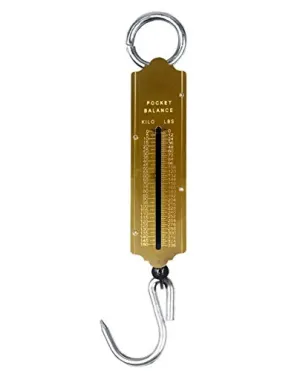 Spring Balance Fish Scales, Pocket Mechanical Spring Balance Weighing Scale with Hanging Loop for Home Kitchen Luggage Fishing (150KG)
