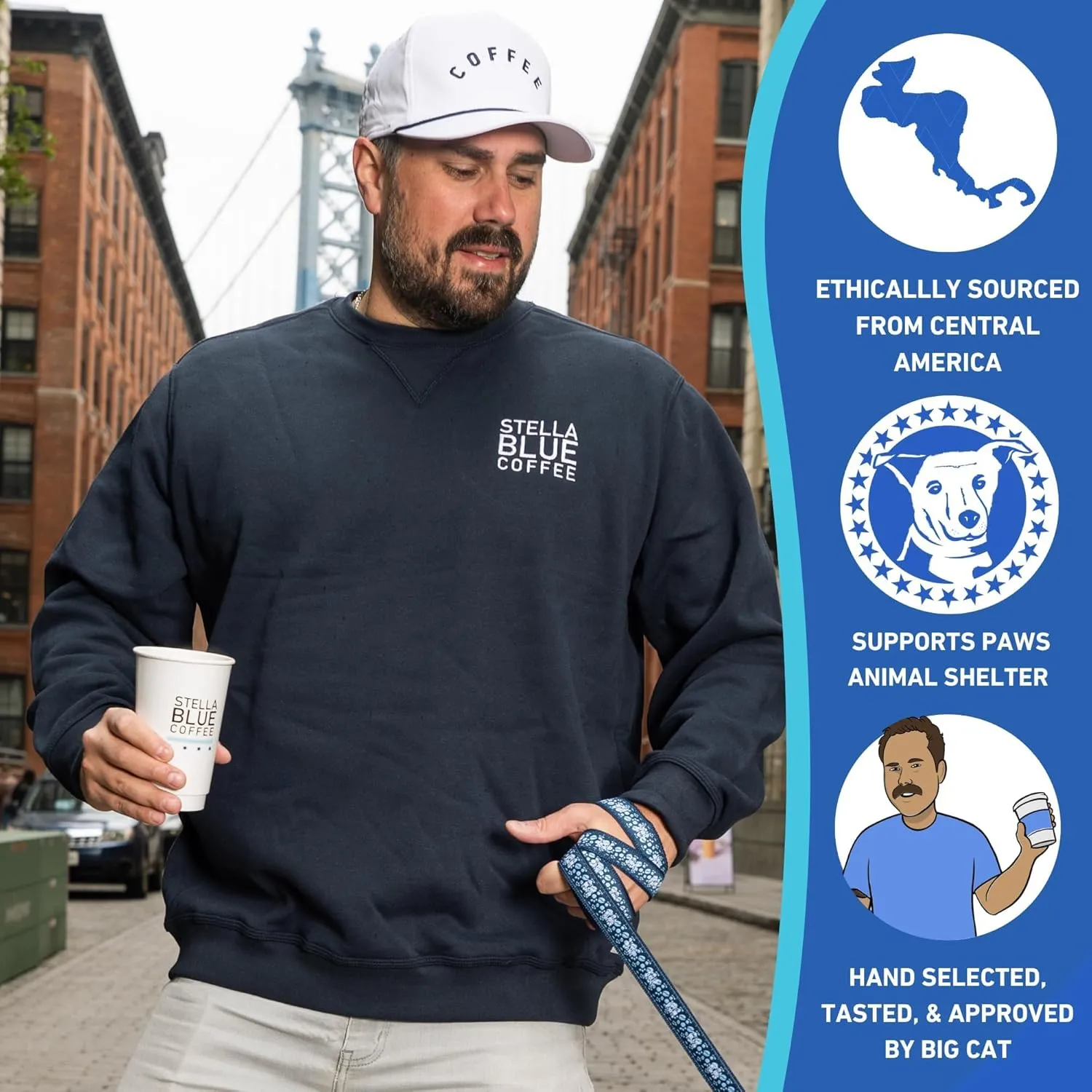 STELLA BLUE Fresh Cold Brew Coffee | Blueberry Muffin | 100% Arabica Medium Roast | Notes of Blueberry Cinnamon and Brown Sugar | Cold Brew Packets | Makes 24 Cups | 6 Easy Cold Brew Pouches