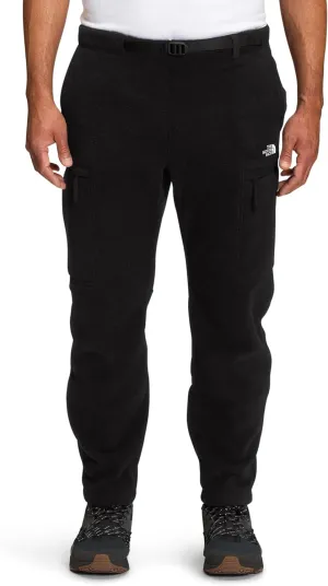 THE NORTH FACE Men's Alpine Polartec 200 Pant