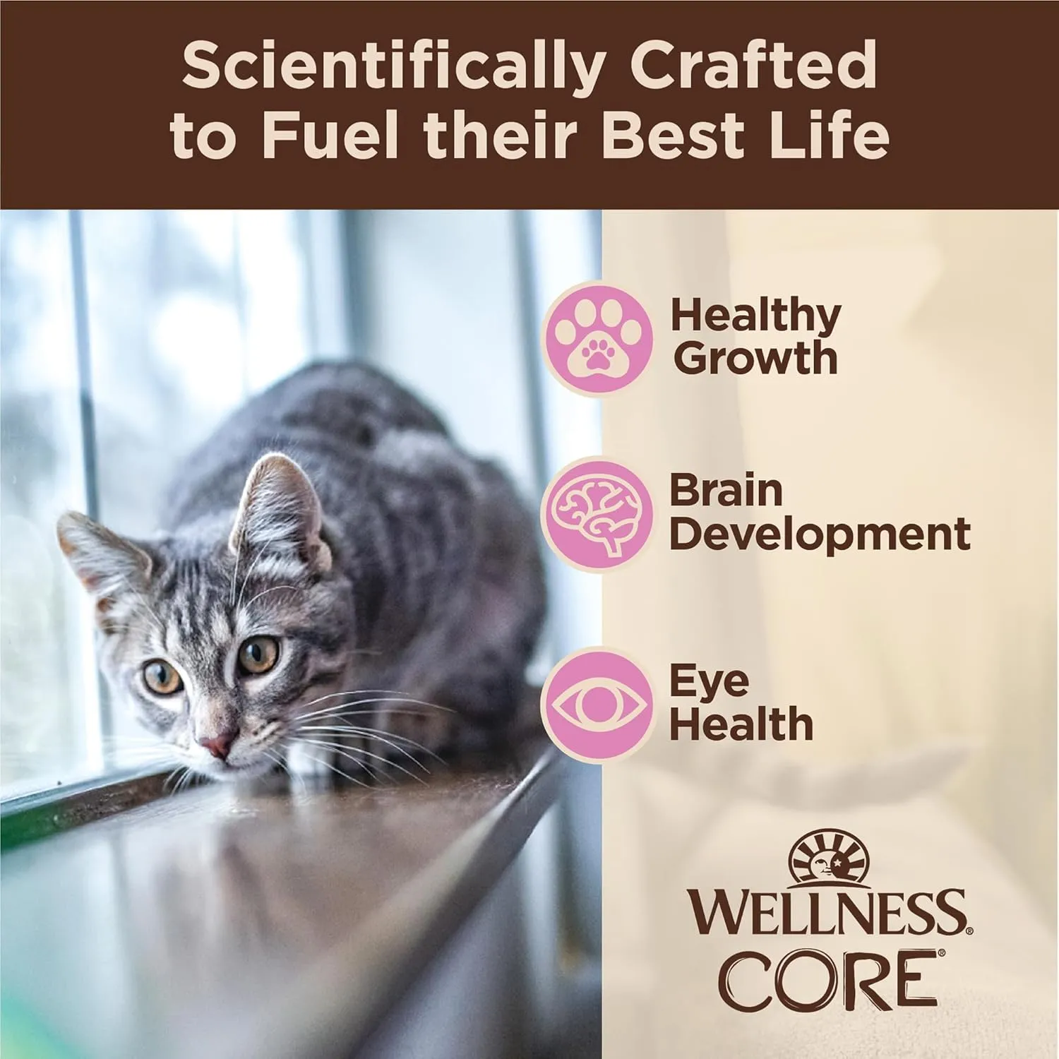 Wellness CORE Tiny Tasters Minced Kitten Wet Cat Food, Natural, Protein-Rich, Grain Free, 1.75-Ounce Pouch, 12 Pack, (Chicken)