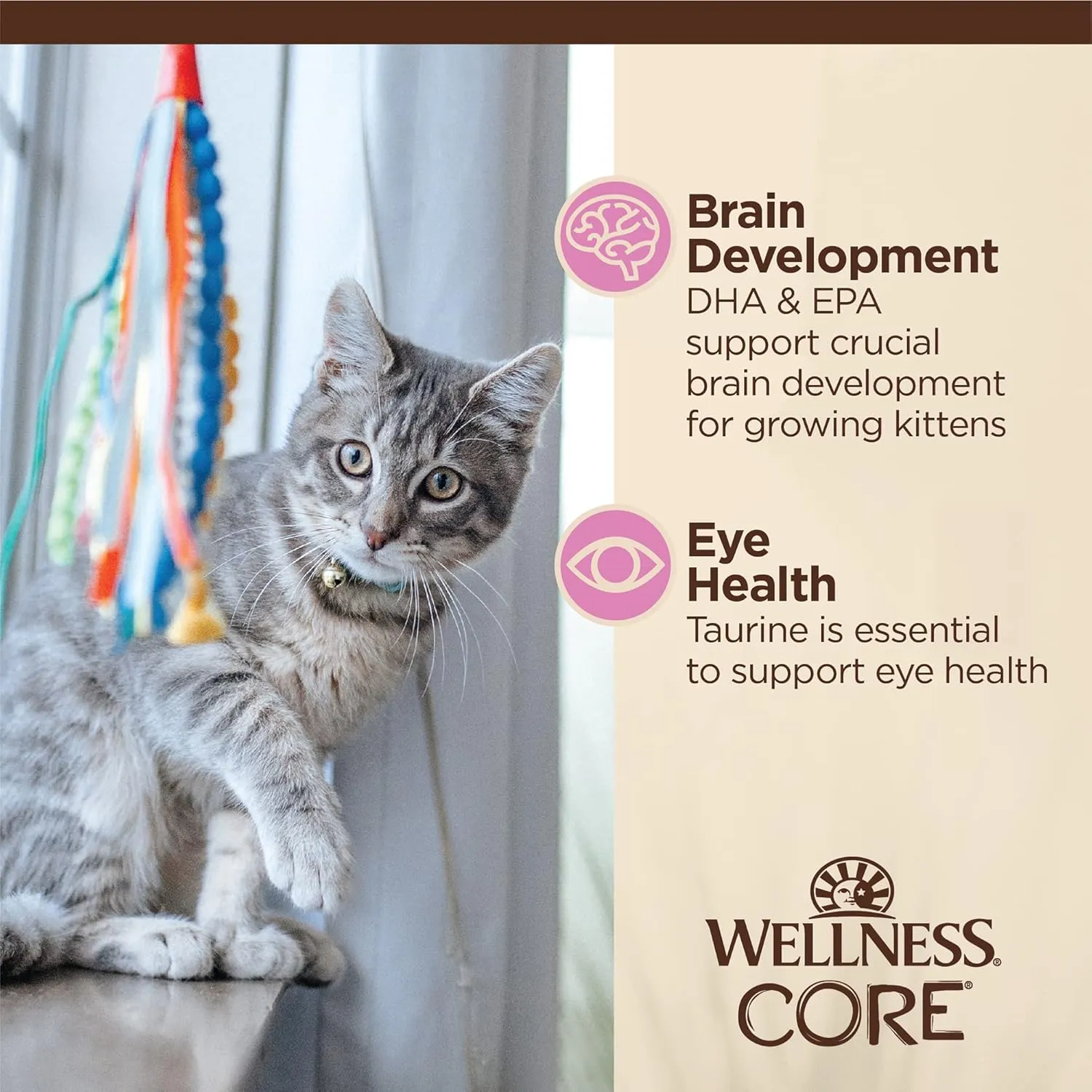 Wellness CORE Tiny Tasters Minced Kitten Wet Cat Food, Natural, Protein-Rich, Grain Free, 1.75-Ounce Pouch, 12 Pack, (Chicken)
