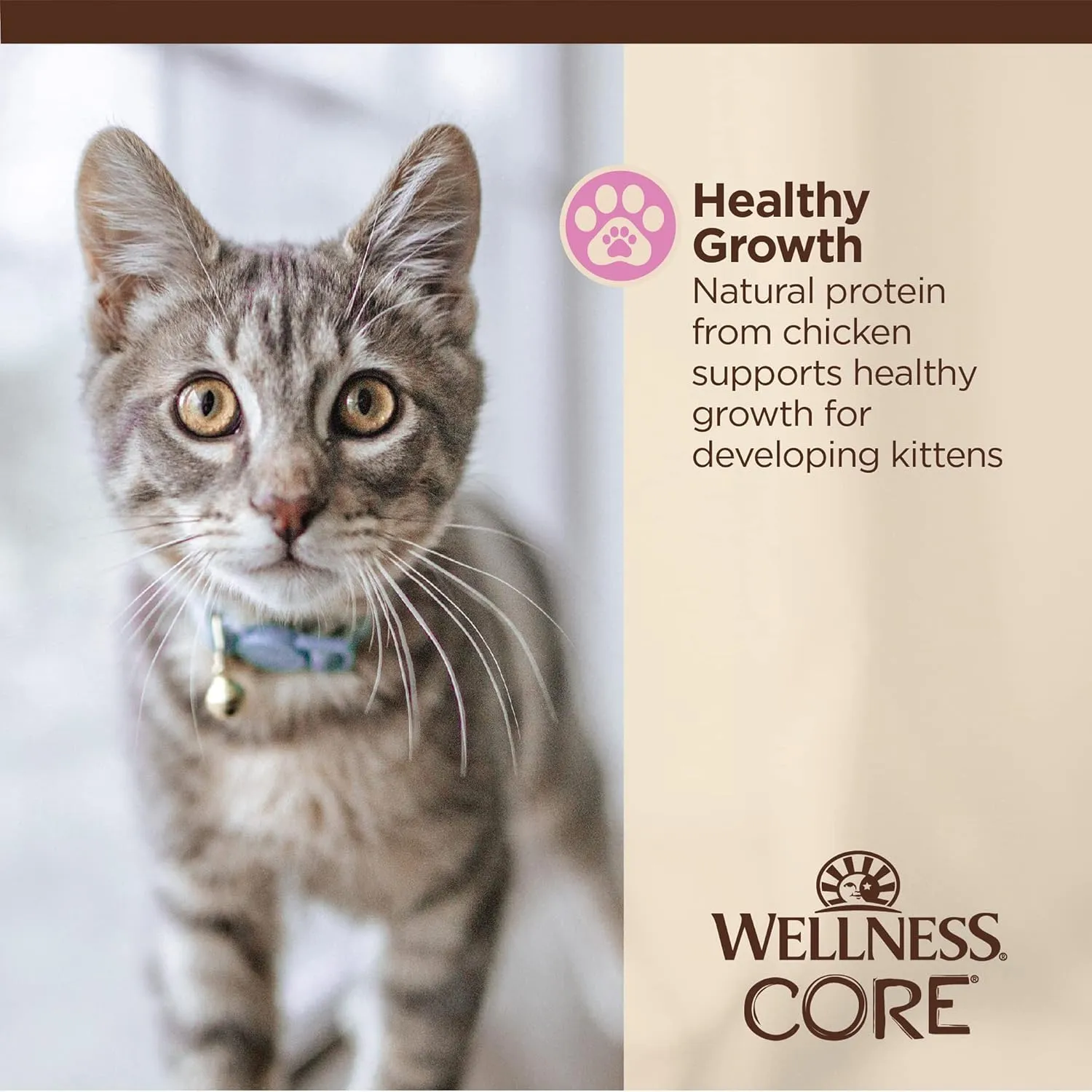Wellness CORE Tiny Tasters Minced Kitten Wet Cat Food, Natural, Protein-Rich, Grain Free, 1.75-Ounce Pouch, 12 Pack, (Chicken)